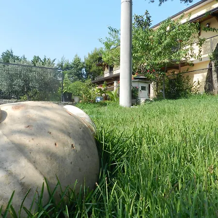 ベッド・アンド・ブレックファスト La Mortella