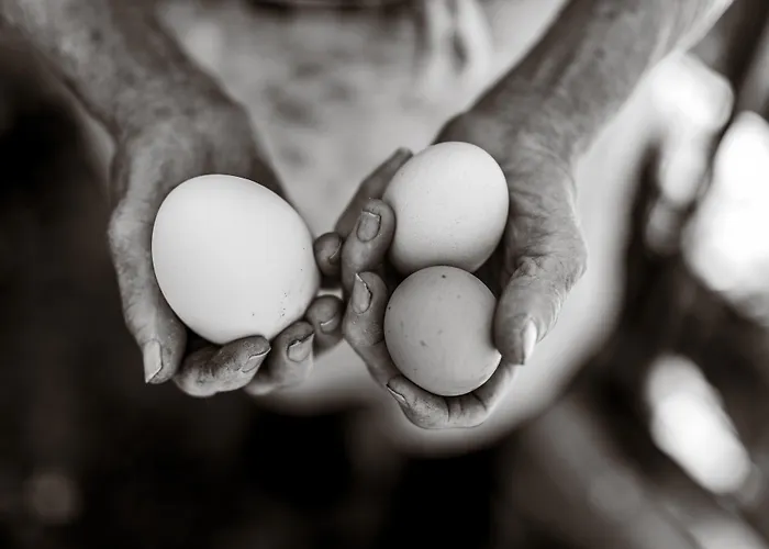 Couette-café La Mortella